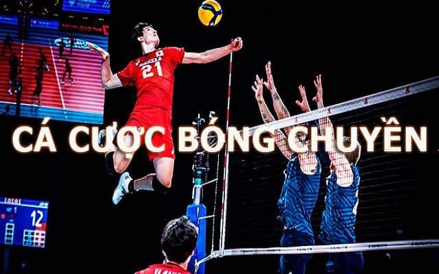 Hướng dẫn cá cược bóng chuyền