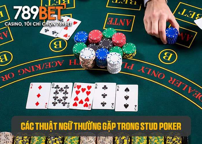 Một số thuật ngữ thường gặp trong Stud Poker