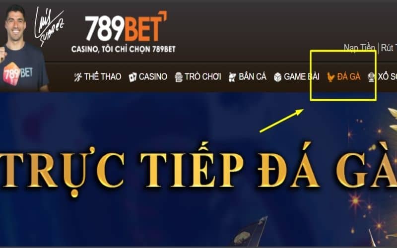 Truy cập vào 789BET và chọn danh mục đá gà